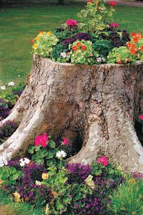 fake tree stump planter|growing plants in tree stumps.